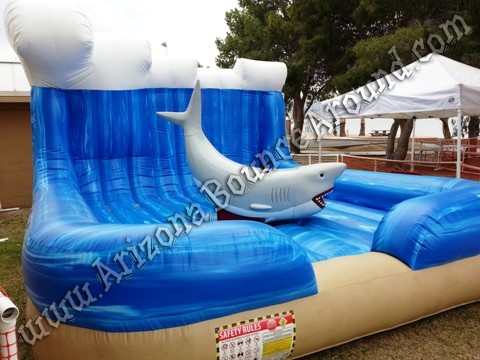 Mechanical Shark Rental Phoenix
